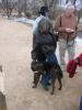 PICTURES/Taos Pueblo/t_Dog attack on Sharon.jpg